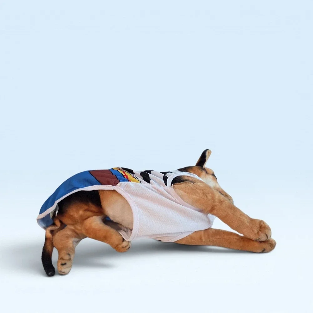 Toy‎ Story Woody Costume Dog Mesh Shirt Cowboy Sheriff Print Small